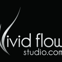 Vivid Flow Studio Logo