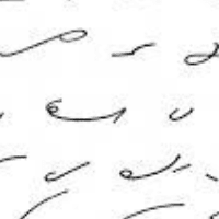 shabana mukhtair Logo