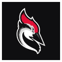 Woodpecker co Logo