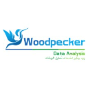 Wood Pecker Data Analysis Logo