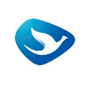 Blue Bird Group Logo