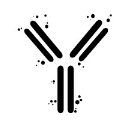 immunitoAI Logo