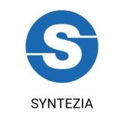 syntezia_sarl.jpg