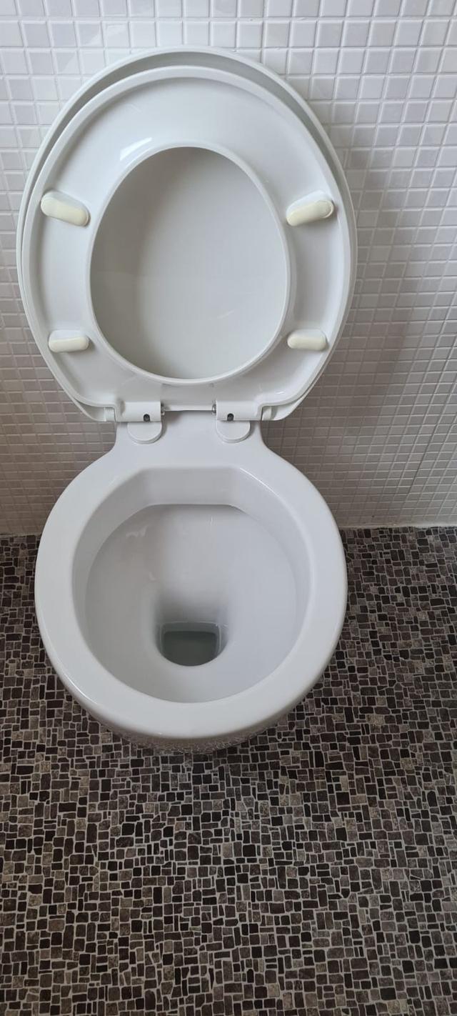Toilet_cleaning.jpeg