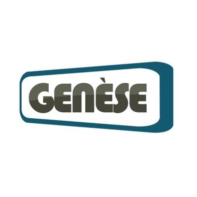 genesesolution.jpg