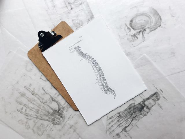 health_checks_anatomy.webp