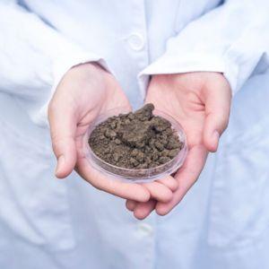soil_test.jpg