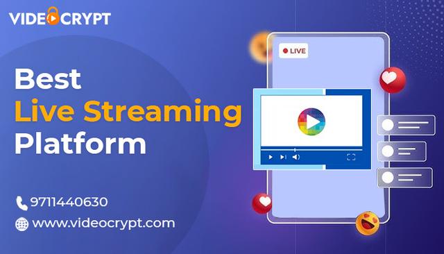 Live_Streaming_Platform.jpeg