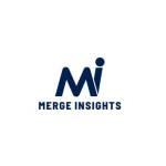mergeinsights_logo.jpg