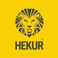 hekur-logo.jpg