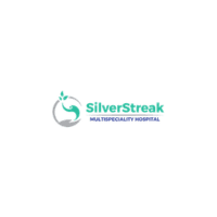 Sliverstreak_logo.png