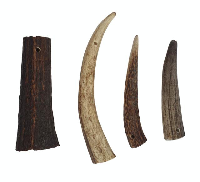 original_antler.1.jpg