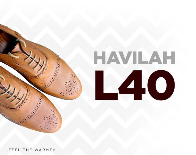 HAV_L40.jpg