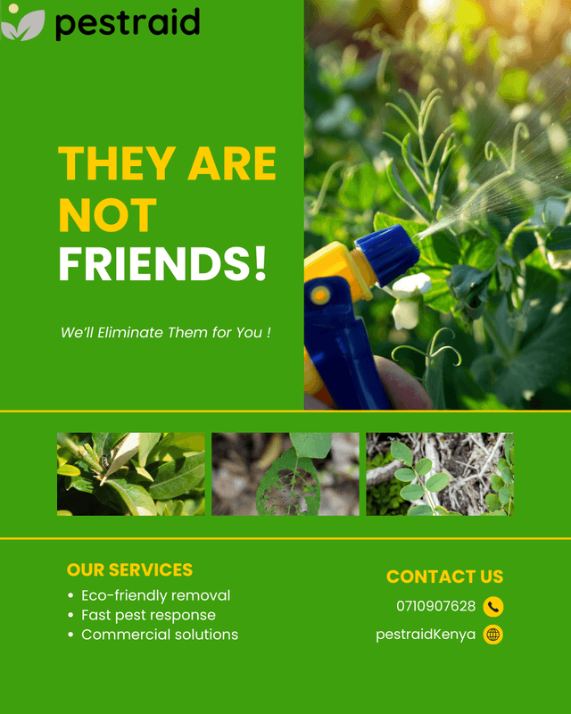 pestraid-fumgation-and-control-services-costs-prices-in-mombasa-kenya.png.png