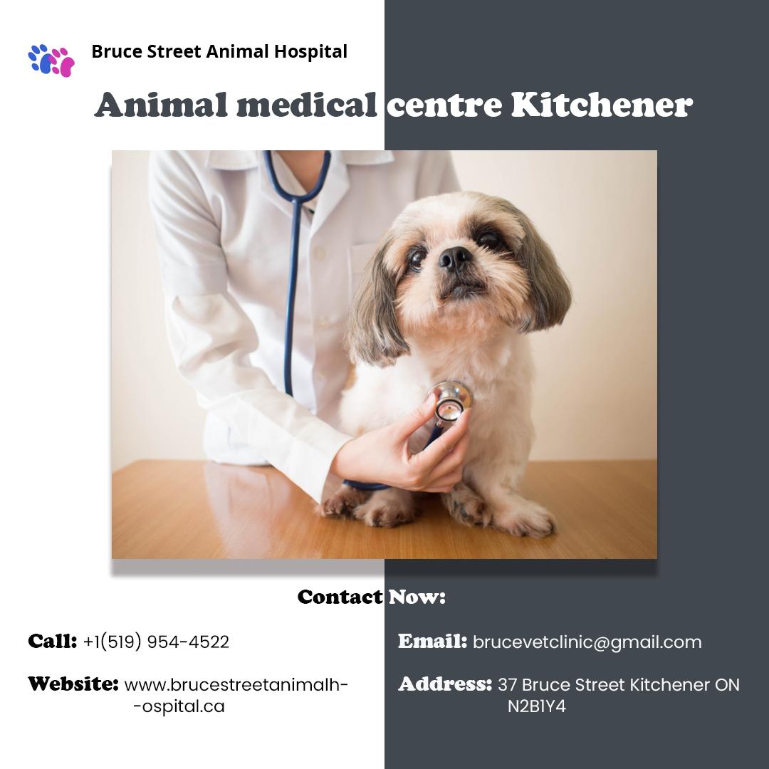 Animal_medical_centre_Kitchener.jpg