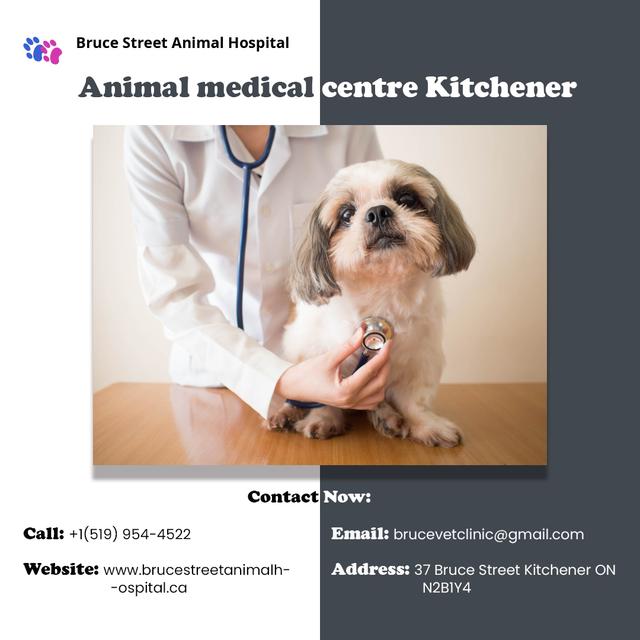 Animal_medical_centre_Kitchener.jpg