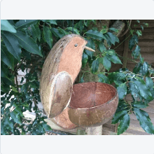 Screenshot_2020-04-20_Accessorise_My_Garden___Products___Large_Coconut_Bird_Feeder_-_Hand_Carved___Shopify.png