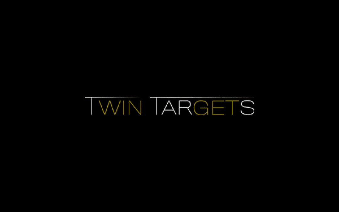 TwinTargets – Turn Business Ideas into Profit