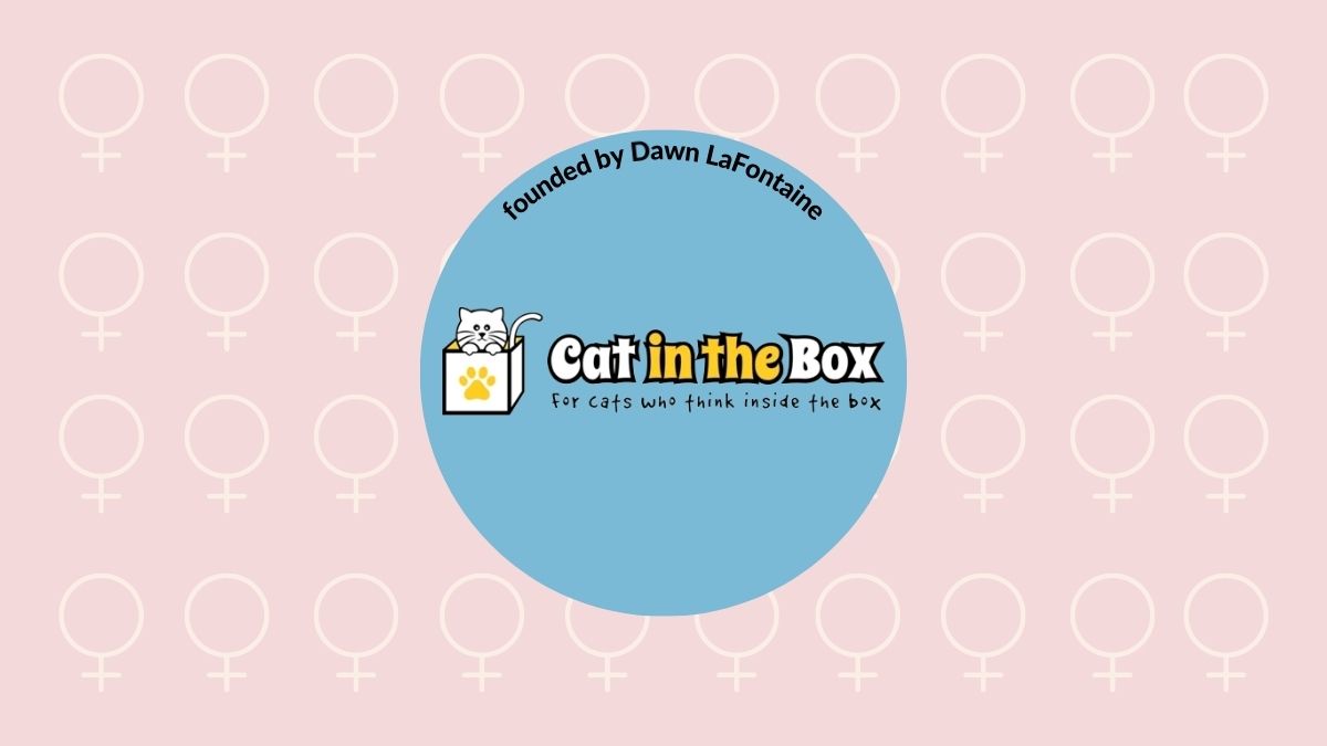 Cat in the box interview on Enterprise League.